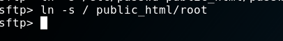 SFTP command symlinking public_html to root filesystem