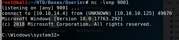 Netcat receiving Windows command shell connection