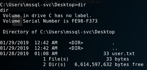 Directory listing showing user.txt flag file