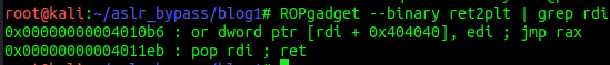 ROPgadget output listing pop rdi; ret gadget