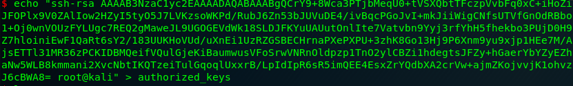 Appending the public key to authorized_keys