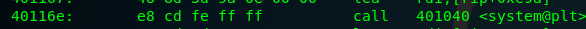 Disassembly showing the call to system() at 0x401040