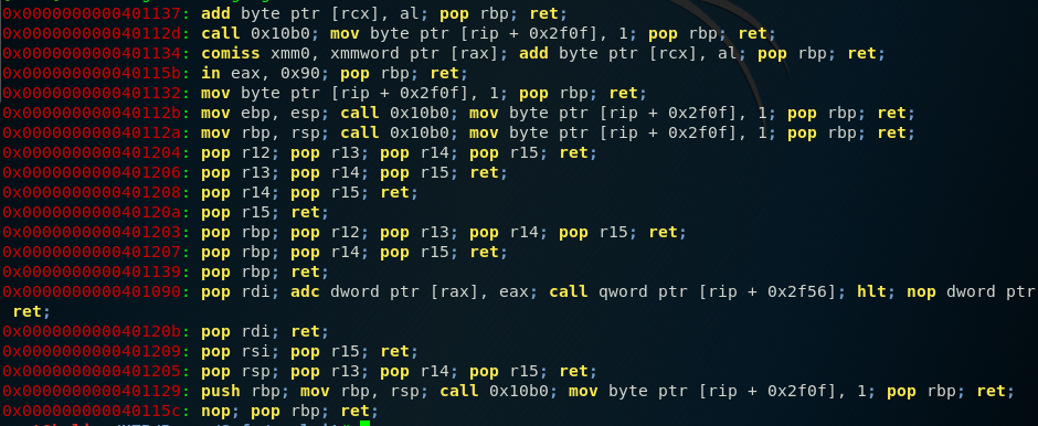 ropper output listing available pop gadgets