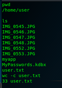 Listing /home/user showing photos, KeePass database, and user.txt