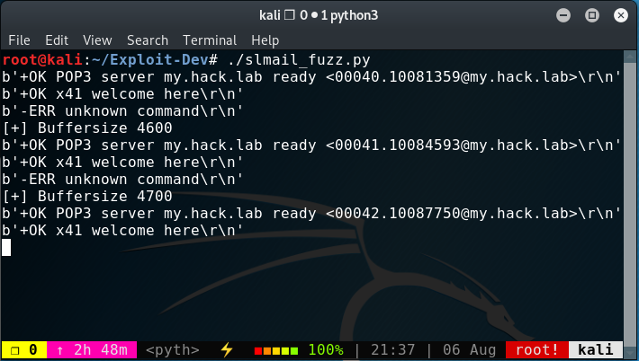 Terminal output of fuzzer script sending increasing buffer sizes