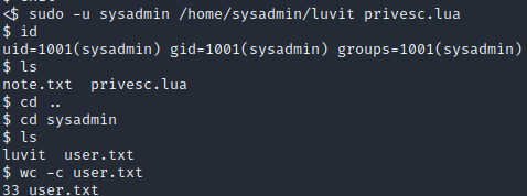 Sysadmin shell after privesc showing user.txt
